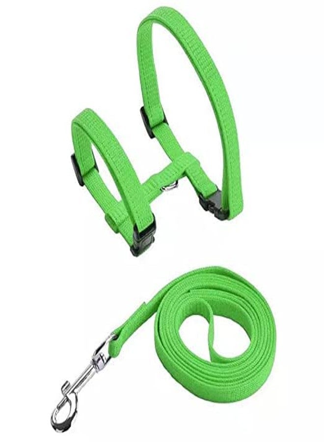 Pups&Pets طوق من النايلون مع حزام قابل للتعديل من Pups&Pets للقطط والأرانب والحيوانات الأليفة الصغيرة - أخضر - Image 5